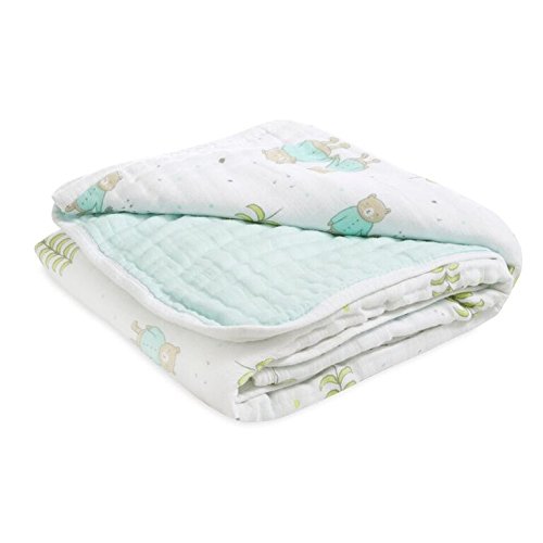 Aden by Aden + Anais Dream Blanket, Summit
