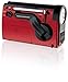 Weather X WR182R NOAA Weather Band and AM/FM Radio Flashlight with Dynamo Hand Crank Power (Red/Black)
