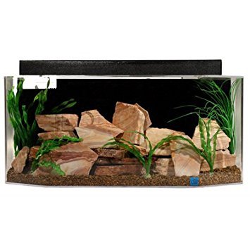 SeaClear 26 gal System II Flat Back Hexagon Acrylic Aquarium, 36 by 12 by 16″, Cobalt Blue