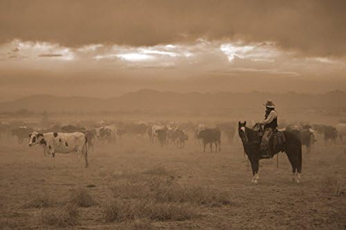 "Settling the Herd" - Robert Dawson - Western Art (Large Giclee on Canvas, Open Edition)