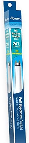 Aqueon Full Spectrum Daylight T8 Fluorescent Bulb, 24", 17 Watts