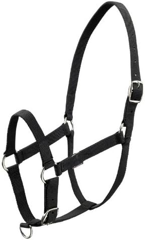Fouganza Any Horse Riding Schooling-Halter