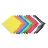 IncStores Exercise Tiles 2ft x 2ft Portable Interlocking Foam Tile Mats