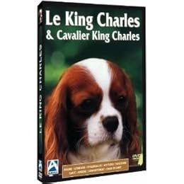 Le King Charles & Cavalier King Charles