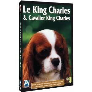 Le King Charles & Cavalier King Charles