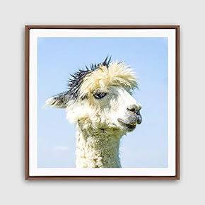 Framed Canvas Wall Art Alpaca Canvas Prints Home Artwork Decoration for Living Room,Bedroom - 16x16 inches