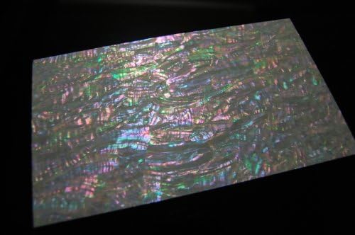 Prism Abalone Wide Shell Coated Veneer Sheet