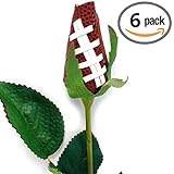 Football Rose (Pack of 6)