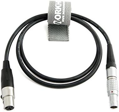TV Logic Power Cable Mini XLR to Arri 2 Pin - 24" - by Workhorse Gear