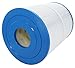 Guardian Filtration Products Spa Filter Cartridge 810-235-01 Replacement for Pleatco PWK65, Unicel C-8465, Filbur FC-3960 | 65 Sq. Ft. of Premium Filter Cartridge Material | Model 810-235