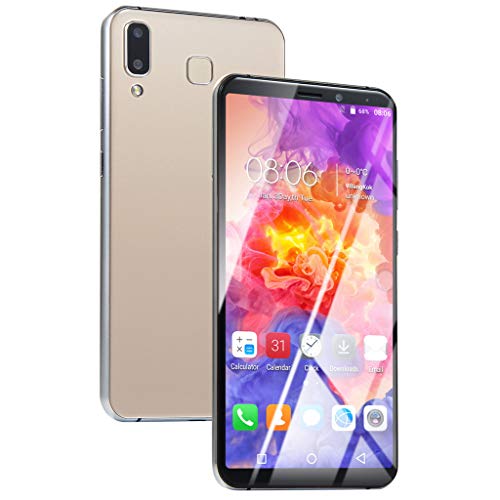 6.1 Inch Ultrathin Android 6.0 Quad-Core 1GB+8GB+Extra 16GB Card GSM WiFi Dual SIM 8.0MP Smart Cellphone (Gold)