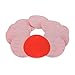 Red Label Abrasives 6 Inch 800 Grit High Performance Hook and Loop Wet/Dry Film Sanding Discs, 10 Pack
