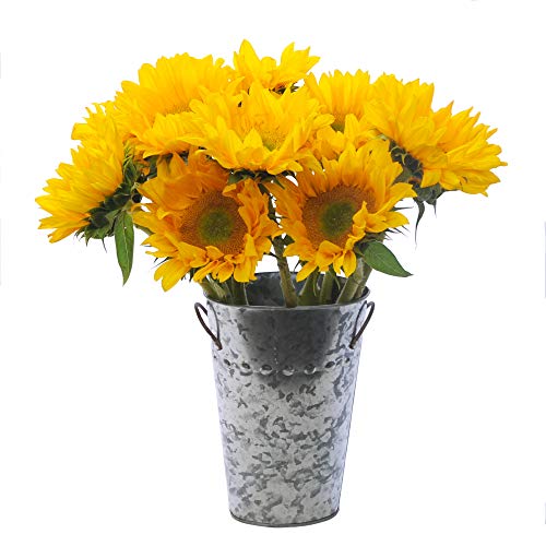 Stargazer Barn - Gratitude Bouquet - Fresh Sunflowers With Vase