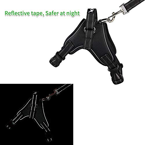 baobë Adjustable Outdoor Pet Vest Light Weight Dog Harness Dogs Leash Set with Reflective Oxford Material for Large Medium Dogs Outdoor Training Walking