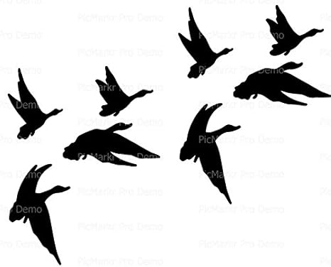 amazon com 1 8 sheet cake geese duck silhouette bird birthday edible cake or cupcake topper d20131 everything else 1 8 sheet cake geese duck silhouette bird birthday edible cake or cupcake topper d20131