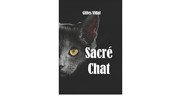 Sacre Chat French Edition Vidal Gilles Amazon Com Books
