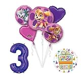 PAW PATROL SKYE & EVEREST 3rd Birthday Party Balloons Decoration Supplies Chase Ryder