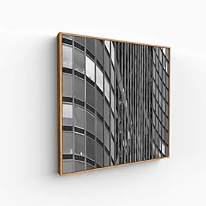 Canvas Wall Art for Living Room, Bedroom Silence Framed Canvas Prints for Home Decoration Ready to Hang - 16x16 inches