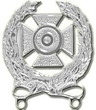 Regulation Size Army Expert Qualification Badge Attachment (Silver Finish)