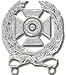 Regulation Size Army Expert Qualification Badge Attachment (Silver Finish)