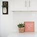 Felt Like Sharing Square Letter Board (Coral Felt - 10”x10”) – Changeable Message Board with 3 Sets of Felt Board Letters for Home, Office, & Aesthetic Room Decor – Wall Letterboard Signs In Oak Frame