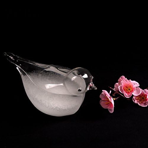 Caveen Storm Glass Weather Forecast Glass Bottle Bird Shaped Crystal Desktop Ornaments For Home Office Decor