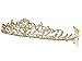 Flower Vine Design Bridal Tiara Crown - Clear Crystals Gold Plating T710