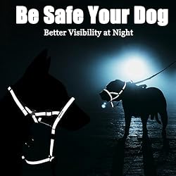 Reflective Head Collar, No Pull Collar for Small