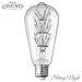 Lumenty ST64 Starry Night 3W Decorative LED Light Bulb - Fireworks Design E26 Base - Vintage Edison Style Bulbs for Pendant Lighting - Romantic Warm White 2300K - Dimmable