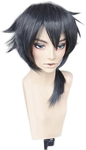 Amazon 即納 耐熱180 コスプレウイッグ ロクでなし魔術講師と禁忌教典 ロクでなしまじゅつこうしとアカシックレコード グレン レーダス ネット付 コスプレ 仮装 通販