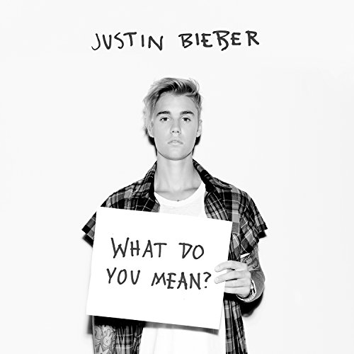 What-Do-You-Mean