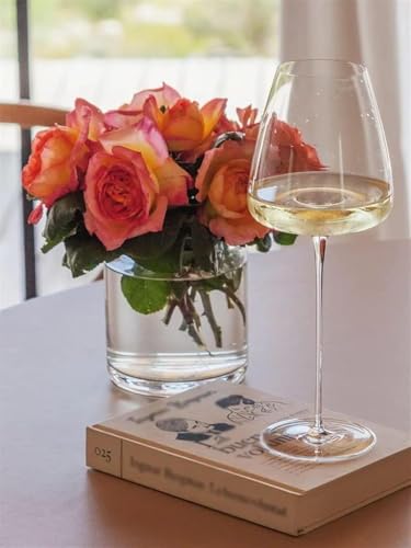 YKingder Wine Glasses Set of 2. 700ml Elegant Hand blown White and Red Wine Glasses. Lead-free Premium Crystal Clear Glass for Wedding, Anniversary or Birthday Gift