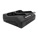 Snow Joe + Sun Joe iCHRG40-DPC EcoSharp Lithium-Ion Battery Dual Port Charger | 40 Volt