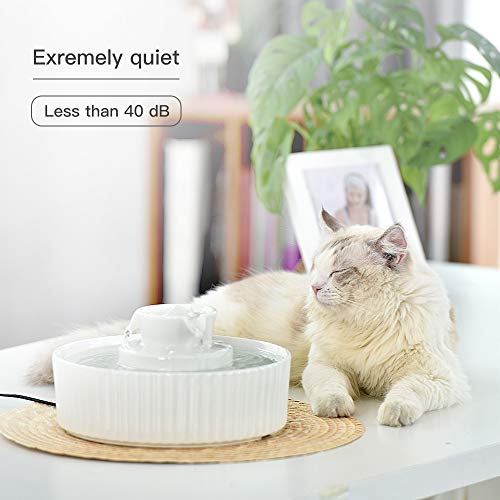 Cepheus Ceramic Pet Drinking Fountain, Ultra Quiet Cat Water Fountain