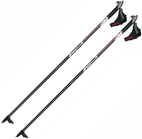 masters ski poles