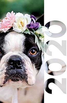 secret santa gift for dog lover