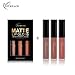Waterproof Matte Liquid,Datework 3PCS New Fashion Lipstick Cosmetic Sexy Lip Gloss Kit (B)