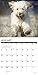 Just Goldendoodles 2019 Wall Calendar (Dog Breed Calendar)