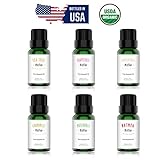 Organic Essential Oils Set, MitFlor Top 6 Premium Grade Aromatherapy Oils Gift Set - Tea Tree, Chamomile, Grapefruit, Frankincense, Patchouli, Nutmeg - 6x10ml