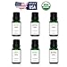 Organic Essential Oils Set, MitFlor Top 6 Premium Grade Aromatherapy Oils Gift Set - Tea Tree, Chamomile, Grapefruit, Frankincense, Patchouli, Nutmeg – 6x10ml
