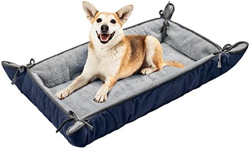 good short haired dogs