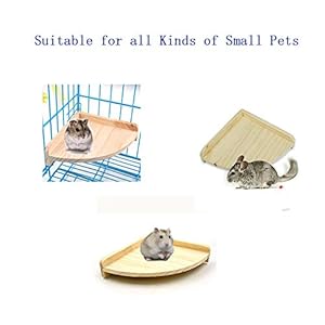 MQUPIN - Trespolo in legno per uccelli piccoli, per parrocchetti, cocorite, pappagallini, adatta anche per criceti… - immagine 3