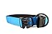 Classic Comfort Dog Collar Premium Nylon Neoprene Padded Dog Collar for Large Sized Dog Comfortable Collar for Your Dog by Wagtime Club. (Bright Blue) L