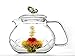 Tea Beyond Clear Glass teapot Rainbow Butterfly 24 oz/710ml Non drip Heat Resistant