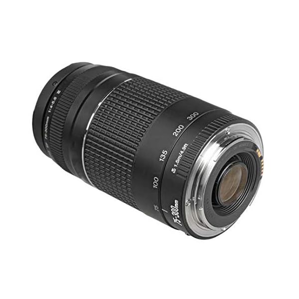 Leichter Telezoom mit USM, EF 75-300 mm f/4-5.6 III Objektiv. – Bild 5