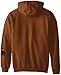 Carhartt Men's Midweight Signature Sleeve Logo Hooded Sweatshirt