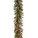 National Tree Company Pre-Lit Artificial Christmas Garland, Green, Evergreen, Multicolor Lights, Battery Operated, Christmas Collection, 9 Feet