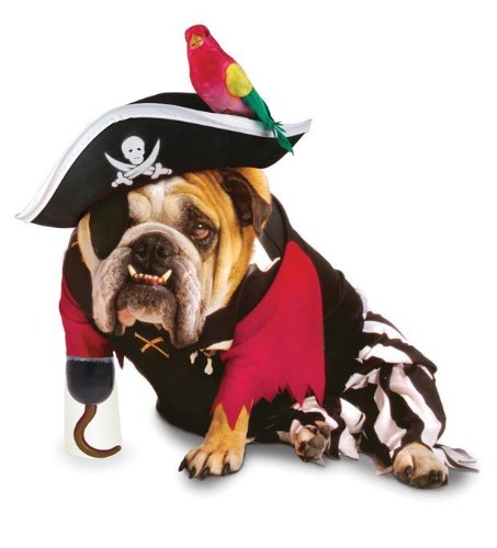 Pirate Dog Costume