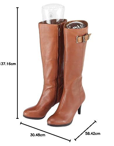 View 6