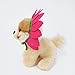 Gund Itty Bitty Boo #30 Daisy Plush Stuffed Animal Dog Plush